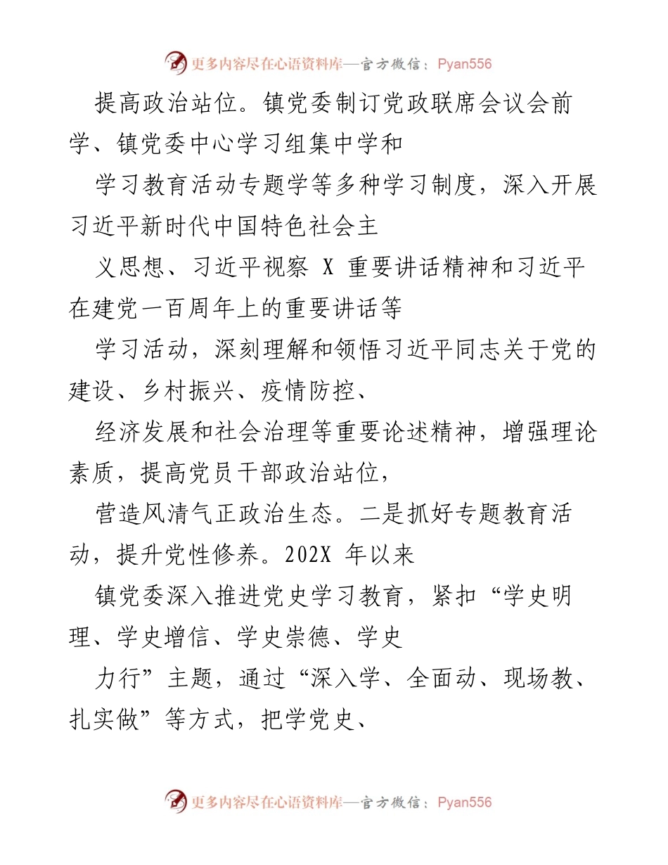 [工作总结] X 镇党委、政府 - 202X年工作总结与党建成效报告.docx_第2页