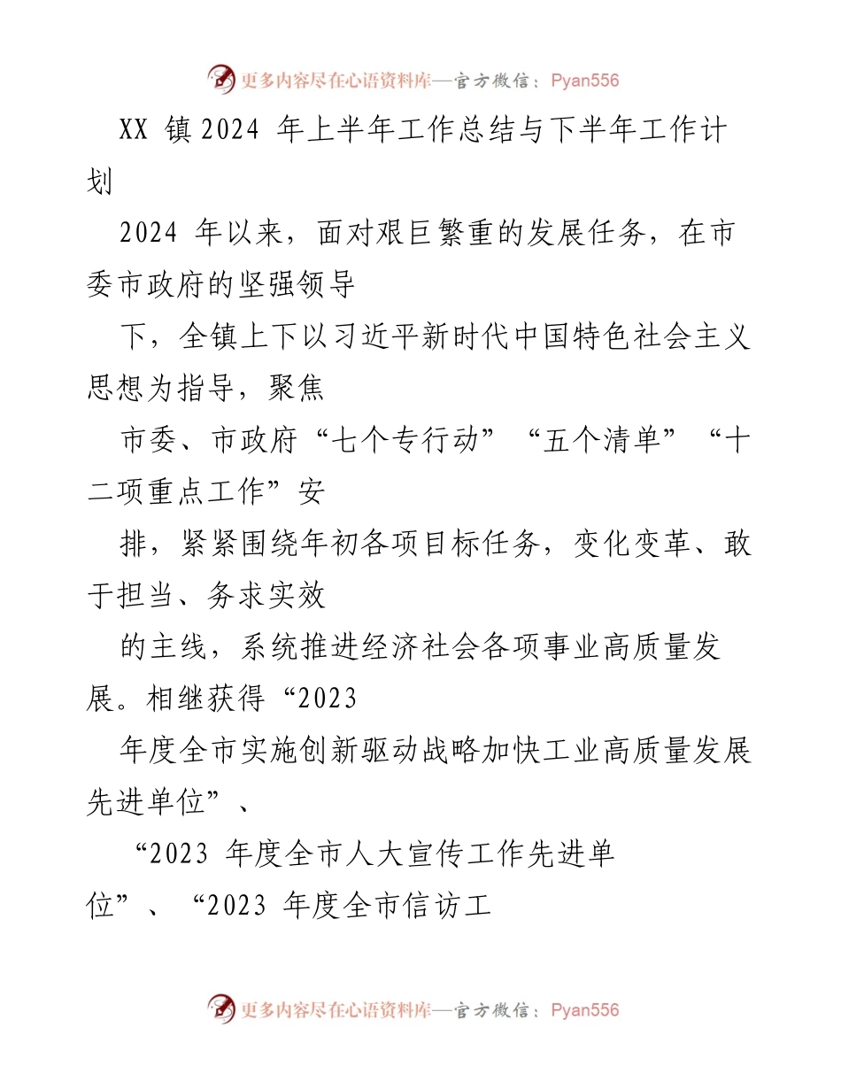 [工作总结] XX镇 - 2024年上半年工作总结与下半年工作计划.docx_第1页