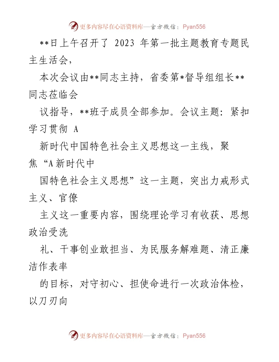 [工作总结] 主题教育专题民主生活会 - 2023年第一批主题教育专题民主生活会召开情况报告.docx_第2页