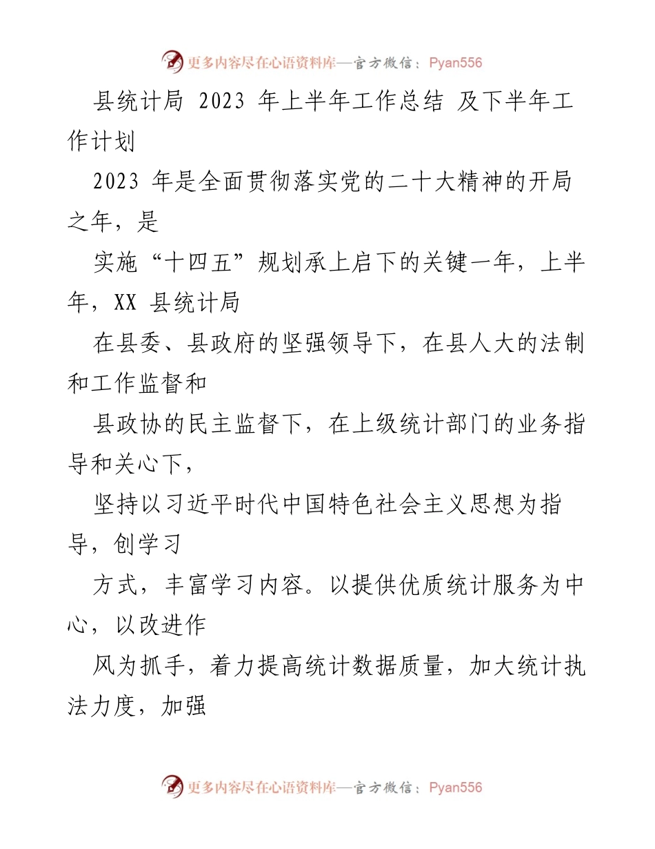 [工作总结] 上半年 - 2023年县统计局工作总结与下半年工作计划.docx_第1页