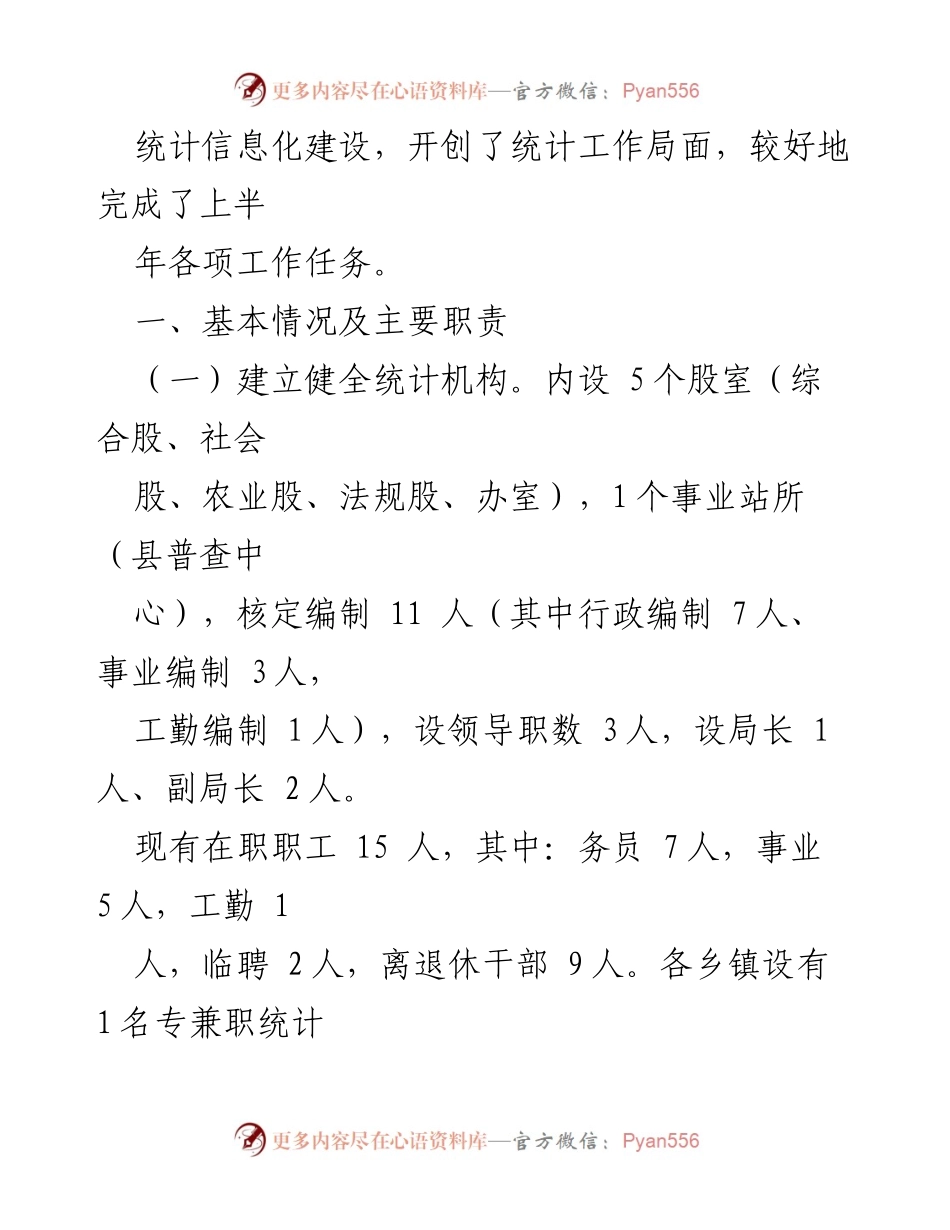 [工作总结] 上半年 - 2023年县统计局工作总结与下半年工作计划.docx_第2页