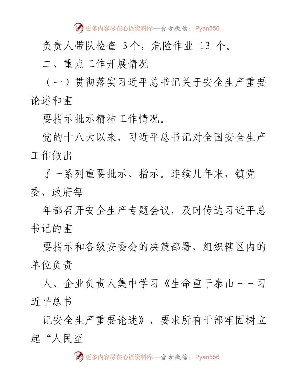 [工作总结] XX镇安全生产工作 - 2023年XX镇安全生产及应急管理工作总结.docx_第2页