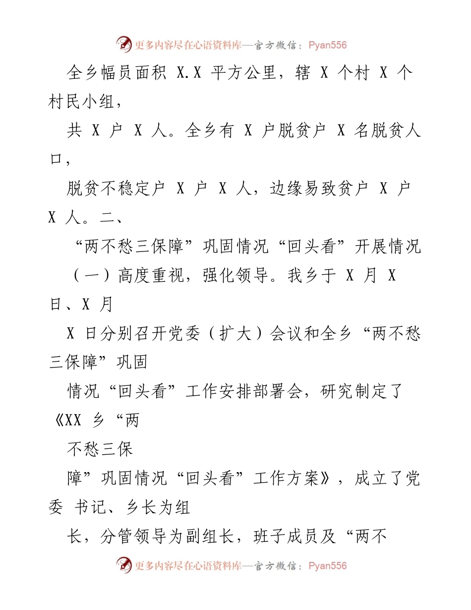[工作总结] 乡村振兴 - XX乡“两不愁三保障”巩固情况“回头看”工作推进总结.docx_第2页