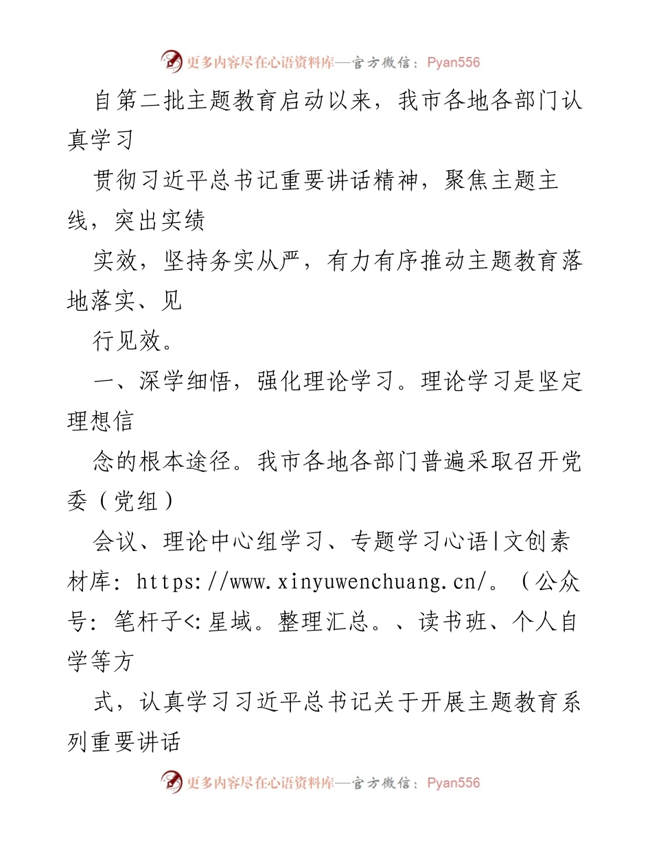[工作总结] 主题教育推进 - 深入推进主题教育：理论学习与实效落实.docx_第1页