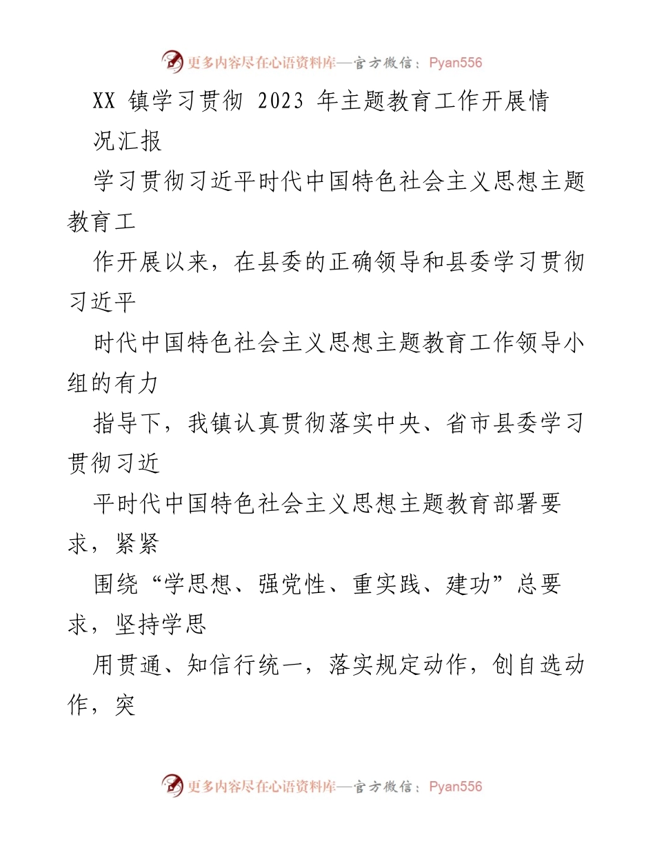 [工作总结] XX镇 - 2023年主题教育工作开展情况汇报.docx_第1页