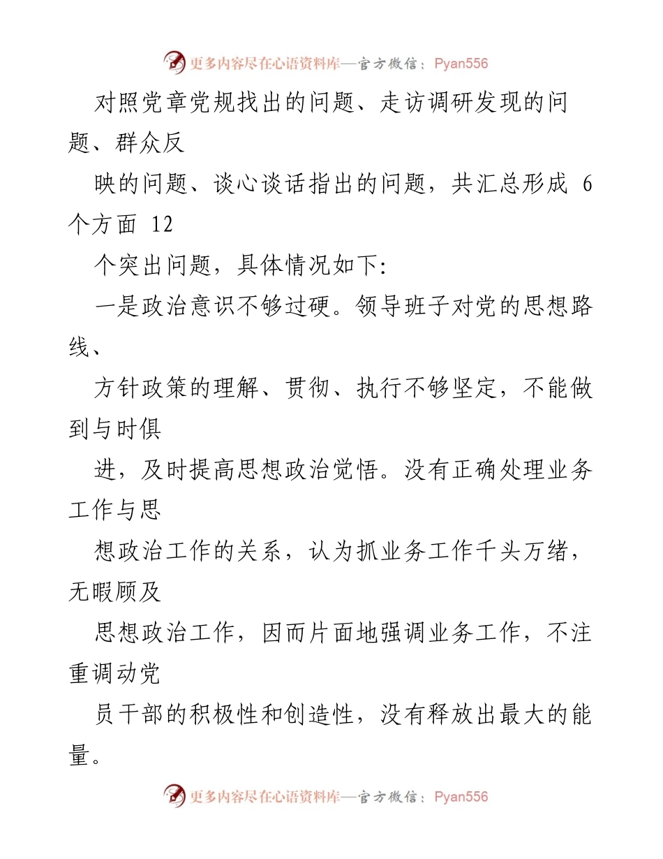 [工作总结] 主题教育 - 2023年主题教育班子对照检查问题清单分析.docx_第2页