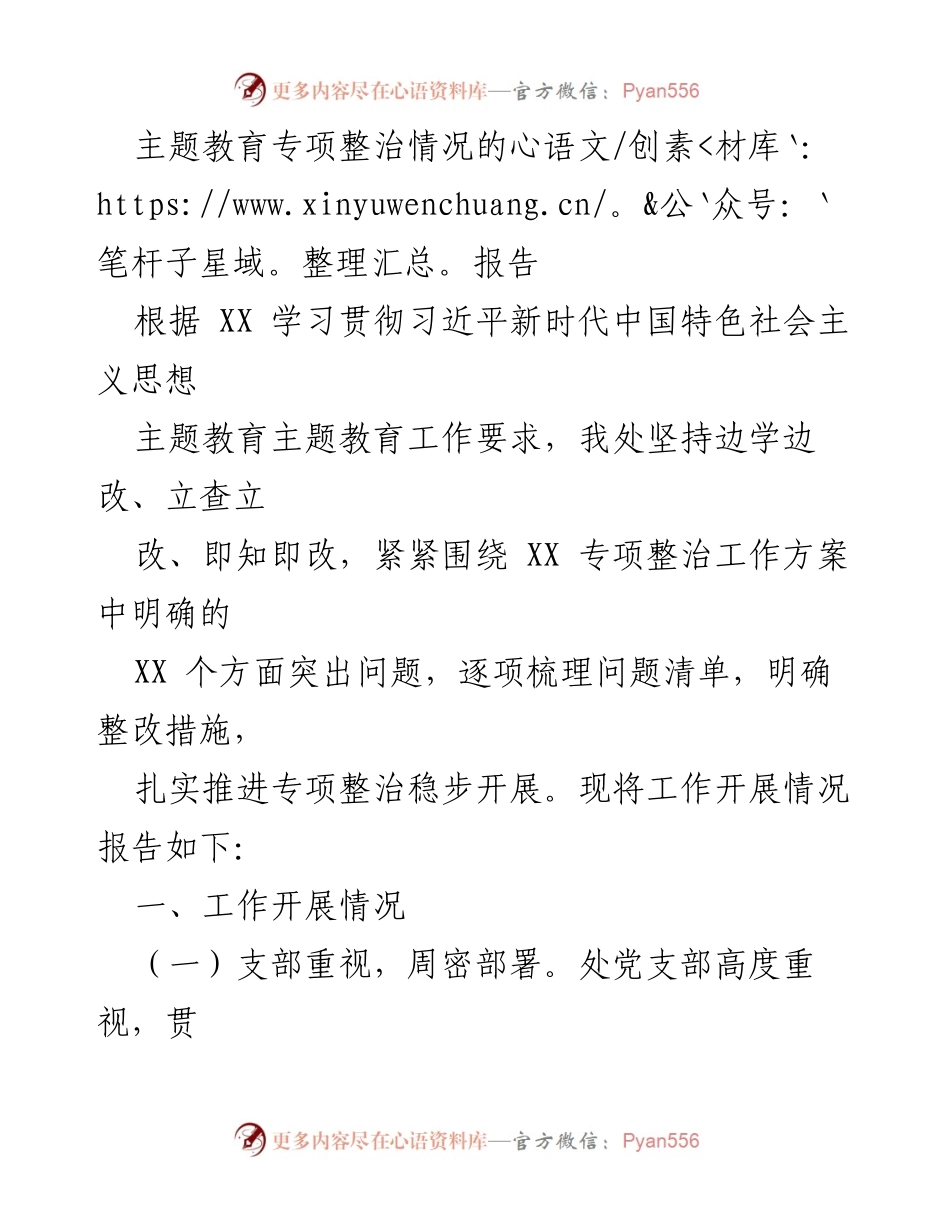 [工作总结] 主题教育专项整治 - 主题教育专项整治工作开展情况报告_1.docx_第1页