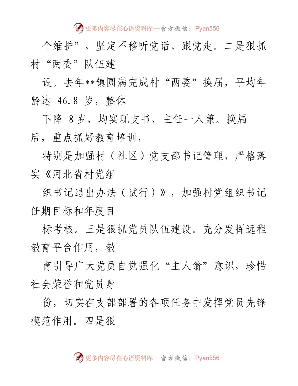 [工作总结] 乡村振兴战略实施 - __镇乡村振兴战略工作总结与党建引领实践.docx_第2页