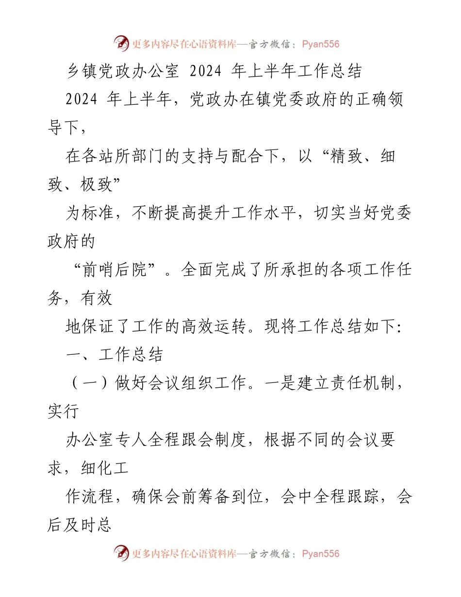 [工作总结] 乡镇党政办公室 - 2024年上半年工作总结与提升措施.docx_第1页
