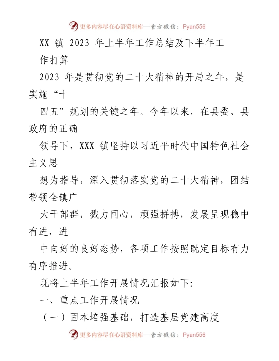 [工作总结] XX镇 - 2023年上半年工作总结及下半年工作打算.docx_第1页