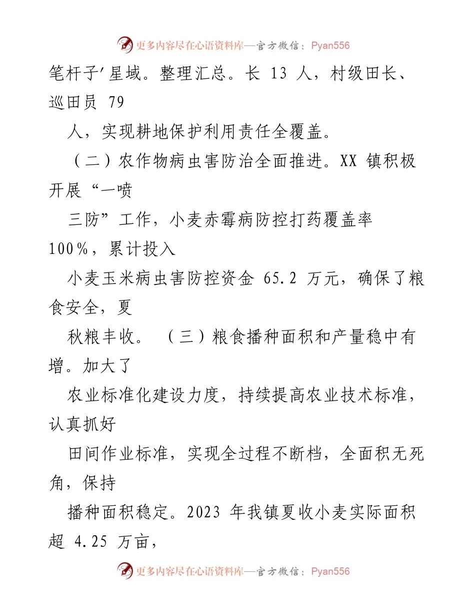 [工作总结] XX镇粮食保障工作 - 2023年粮食保障工作总结报告.docx_第2页