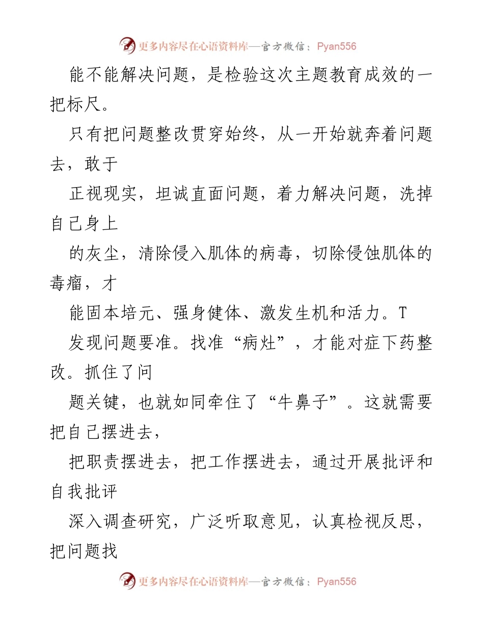 [工作总结] 主题教育 - 问题整改贯穿主题教育的实践与落实.docx_第2页