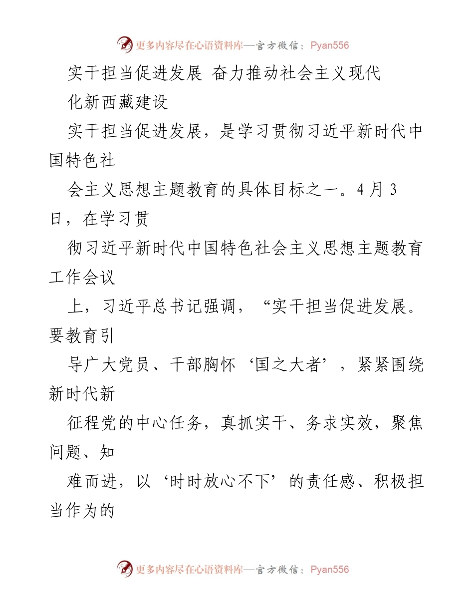 [工作总结] 主题教育工作会议 - 实干担当促进发展，推动社会主义现代化新西藏建设.docx_第1页