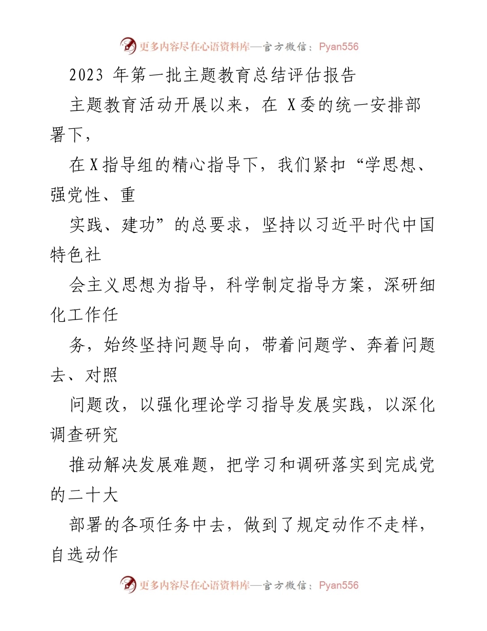 [工作总结] 主题教育活动 - 2023年第一批主题教育总结评估报告.docx_第1页