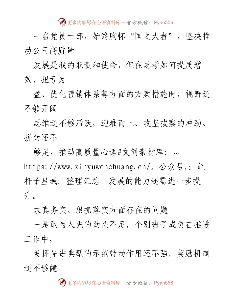 [工作总结] 2024年工作分析 - 求真务实、狠抓落实方面存在的问题总结.docx_第2页