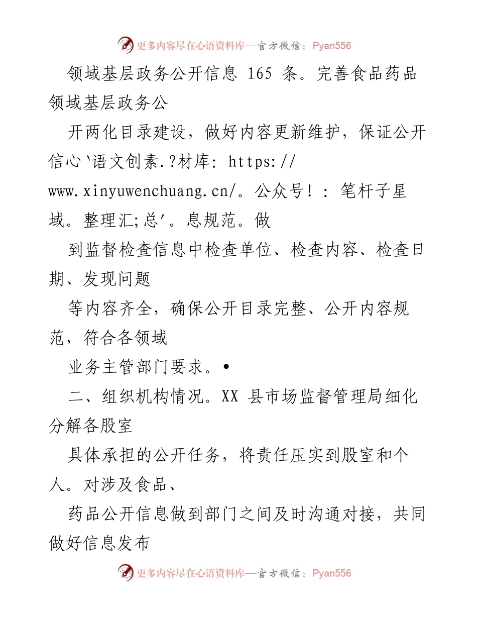 [工作总结] XX县市场监督管理局 - 2022年度基层政务公开两化提升工作总结.docx_第2页
