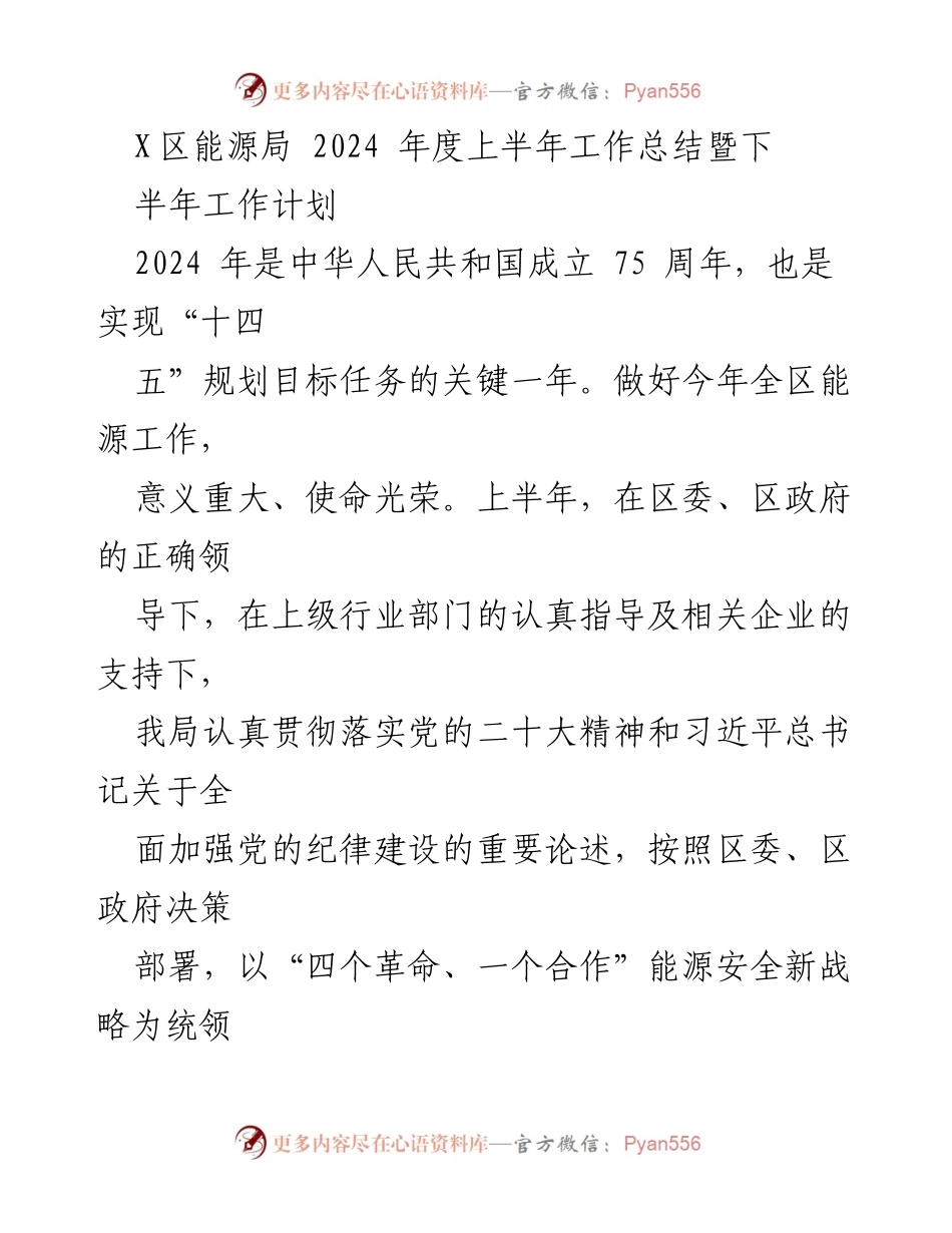 [工作总结] X区能源局 - 2024年度上半年工作总结与下半年工作计划.docx_第1页