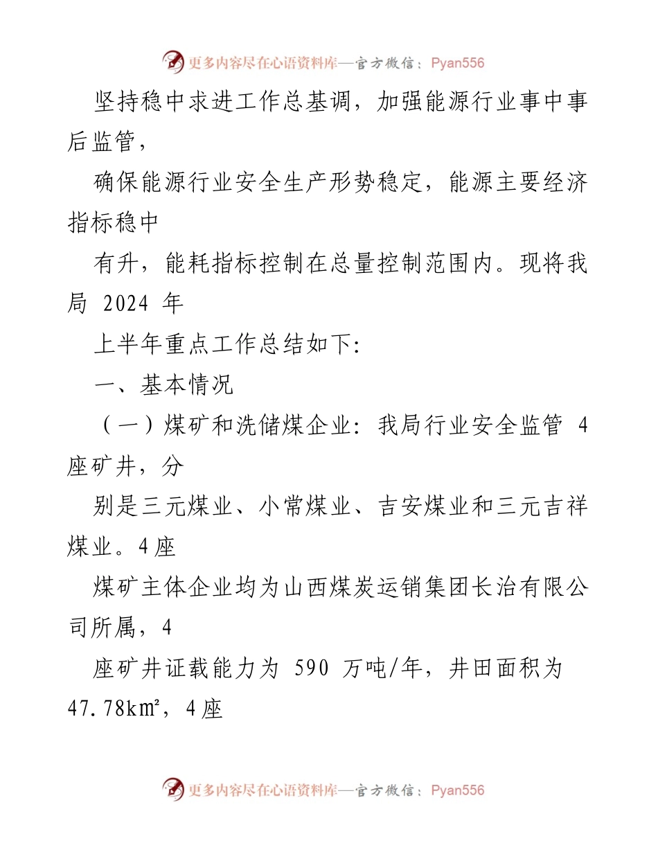 [工作总结] X区能源局 - 2024年度上半年工作总结与下半年工作计划.docx_第2页
