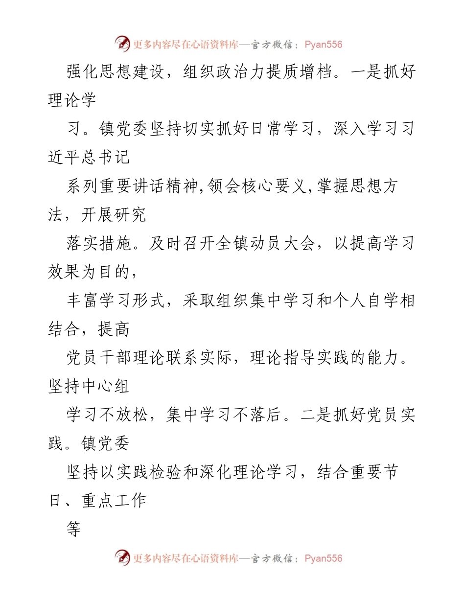 [工作总结] XXX 镇 - 2022 年工作总结及 2023 年工作计划.docx_第2页