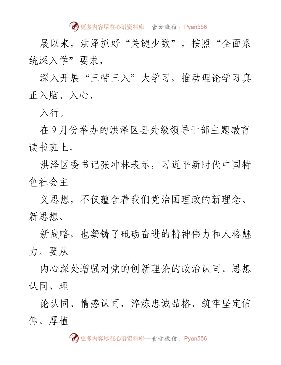 [工作总结] 主题教育 - 洪泽区主题教育工作总结与实践探索.docx_第2页