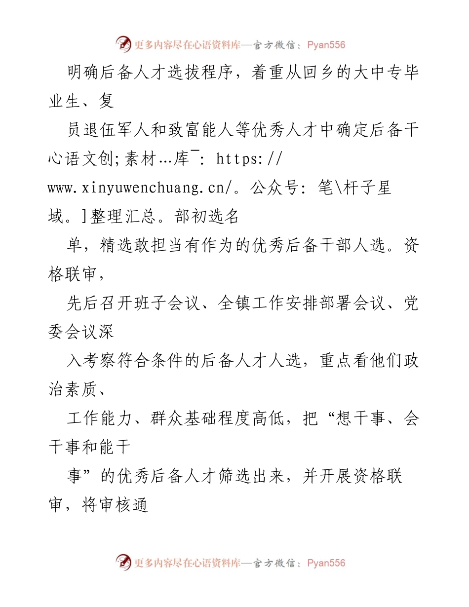 [工作总结] 乡镇 - 2023年村级后备人才选拔与培养工作总结.docx_第2页