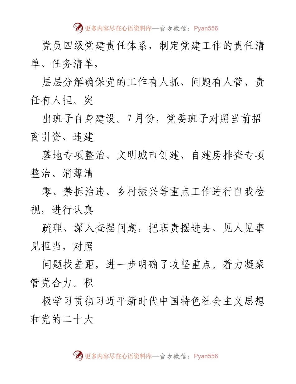 [工作总结] 乡镇党建 - 2022年乡镇党建工作总结与2023年工作计划.docx_第2页