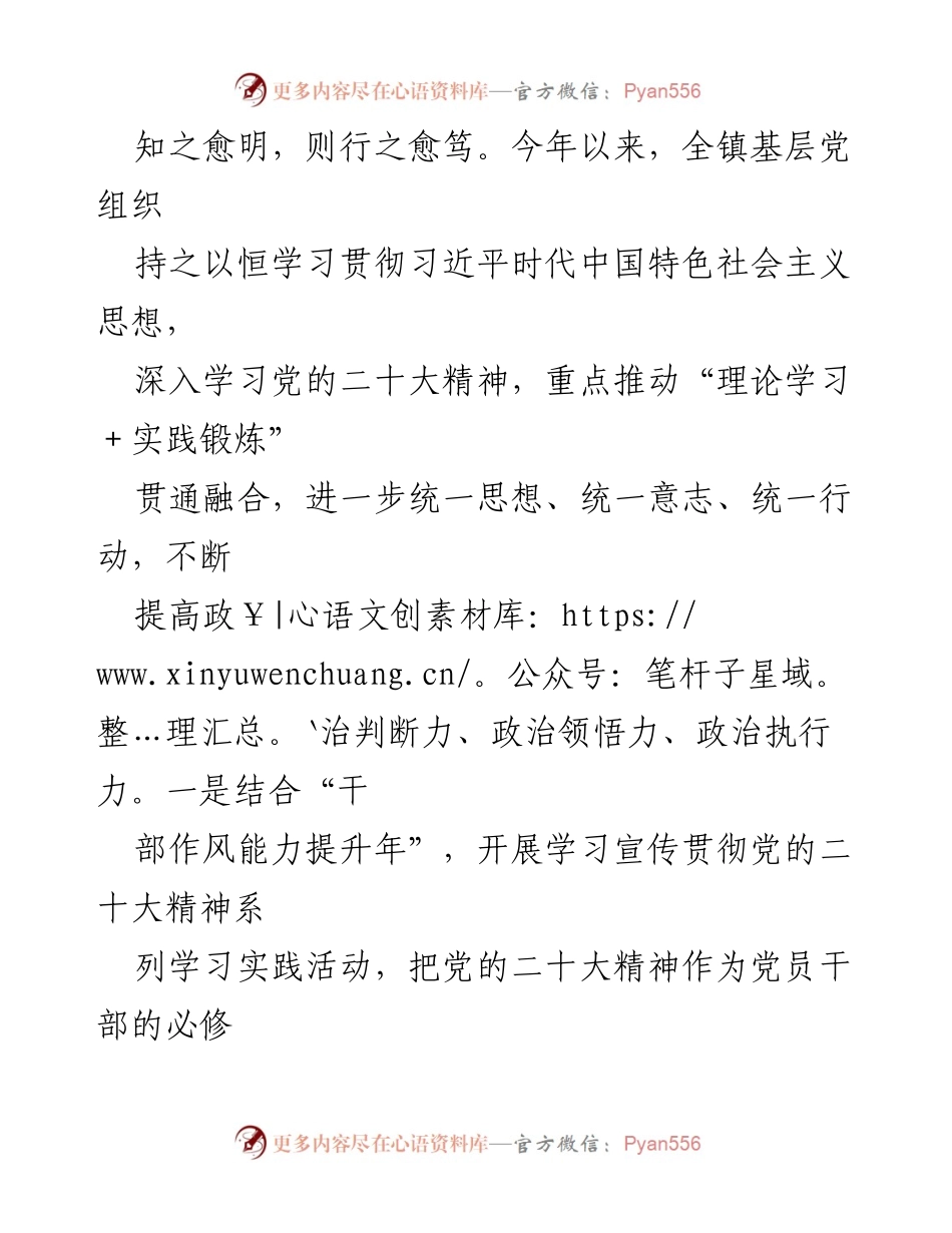 [工作总结] 乡镇党建 - 2023年上半年X镇党建工作总结.docx_第2页