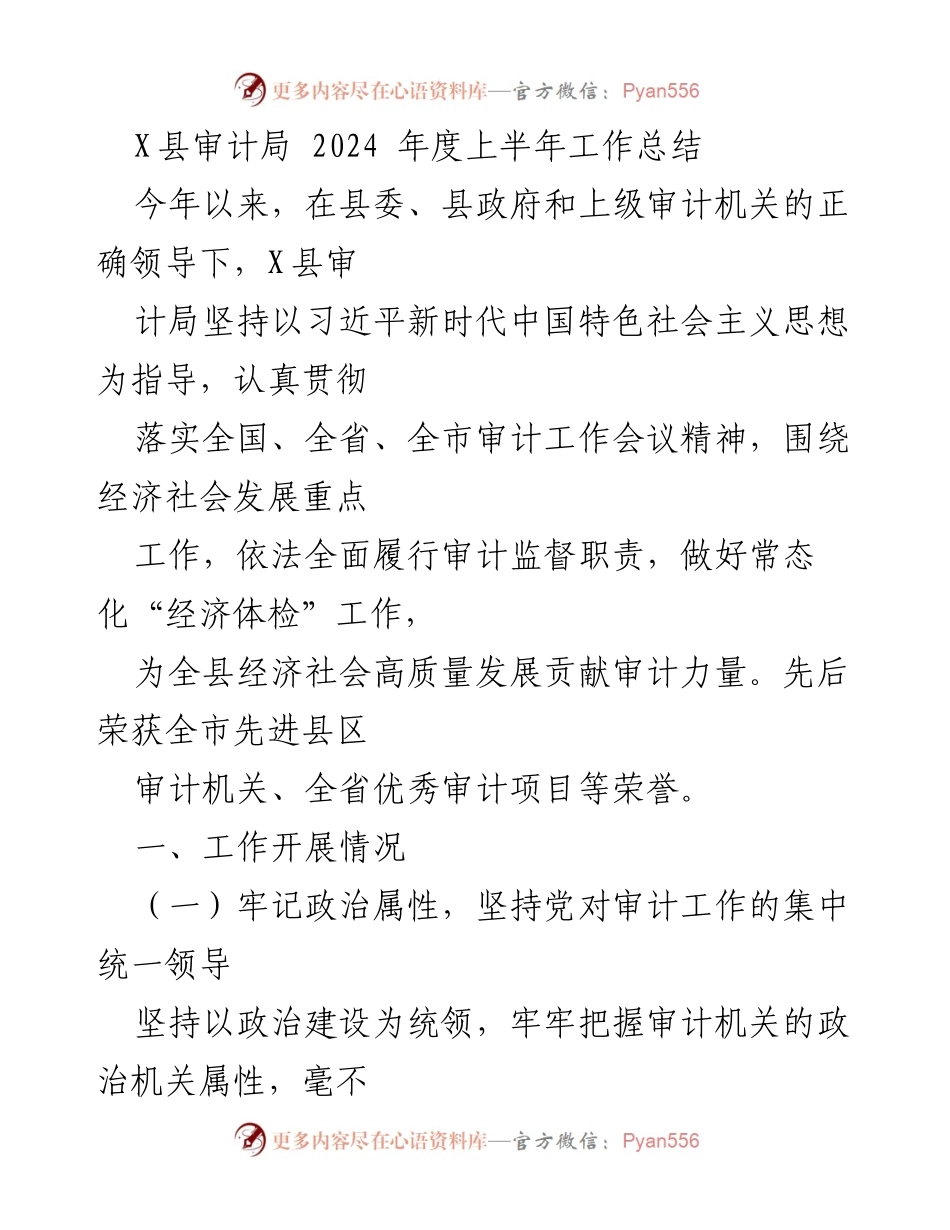[工作总结] X县审计局 - 2024年度上半年审计工作总结与成效分析.docx_第1页
