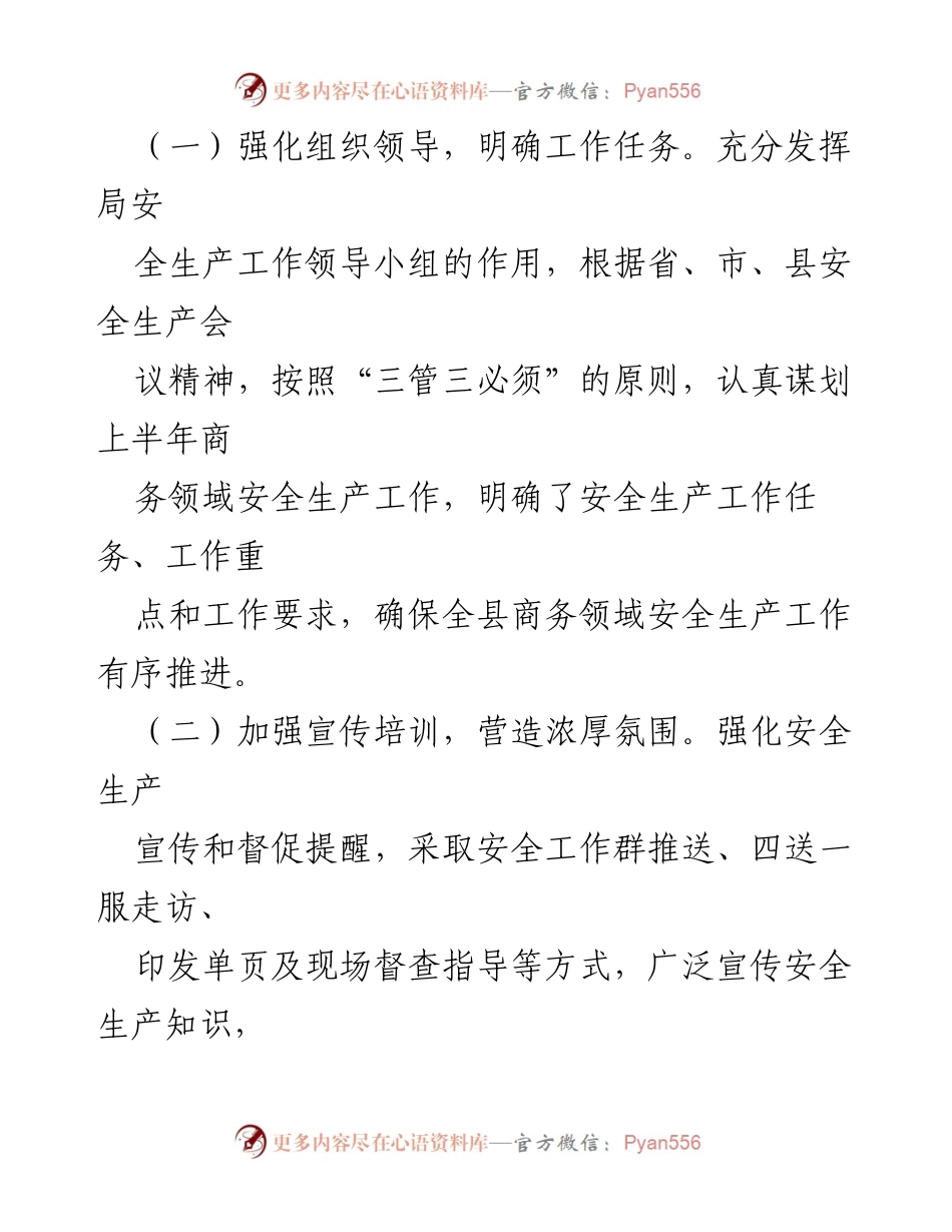 [工作总结] 上半年商务领域安全生产 - 2024年上半年全县商务领域安全生产工作总结.docx_第2页