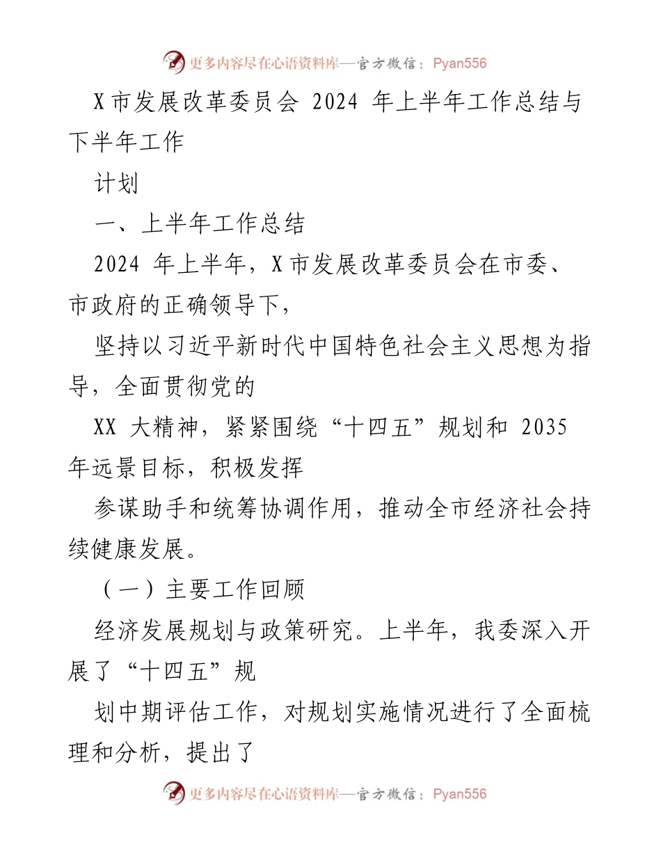 [工作总结] X市发展改革委员会 - 2024年上半年工作总结与下半年工作计划.docx_第1页