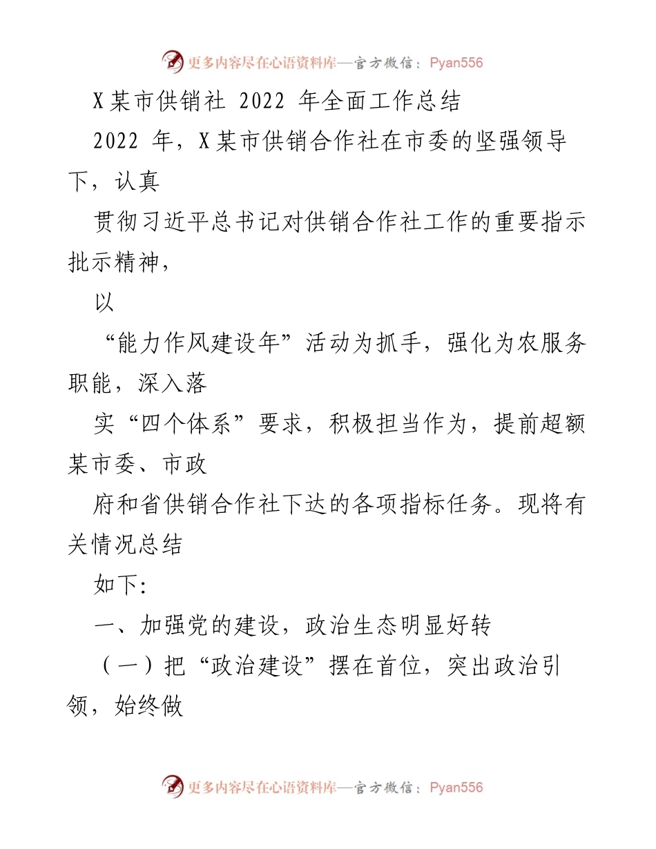 [工作总结] X某市供销社 - 2022年全面工作总结与党建成效分析.docx_第1页
