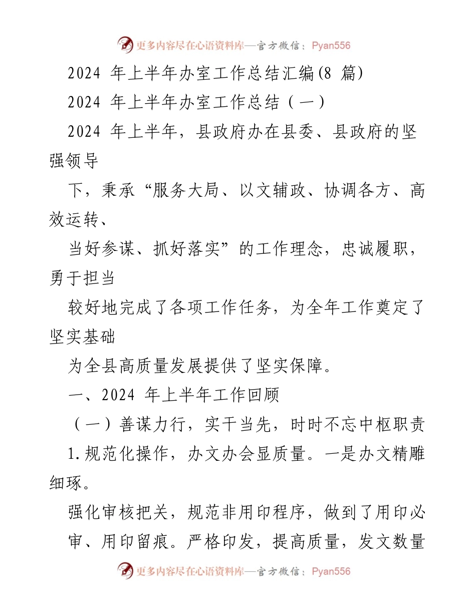 [工作总结] 2024年上半年 - 县政府办工作总结报告.docx_第1页
