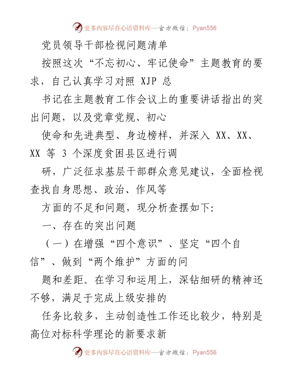 [工作总结] 主题教育 - 党员领导干部问题检视与反思报告.docx_第1页