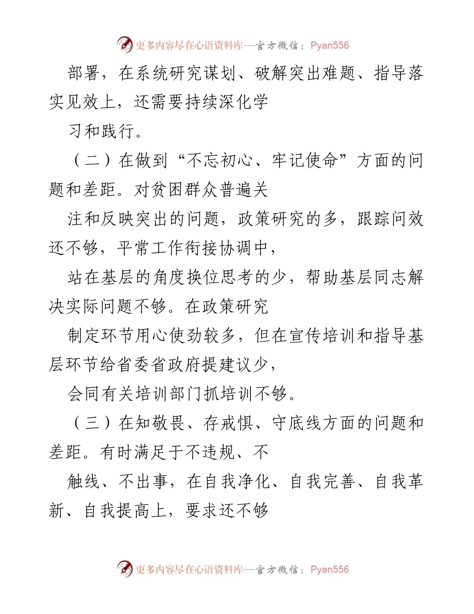 [工作总结] 主题教育 - 党员领导干部问题检视与反思报告.docx_第2页