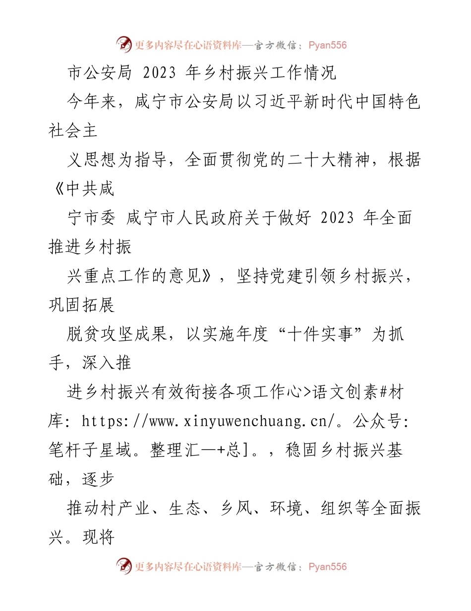 [工作总结] 乡村振兴工作汇报 - 咸宁市公安局2023年乡村振兴工作情况总结.docx_第1页