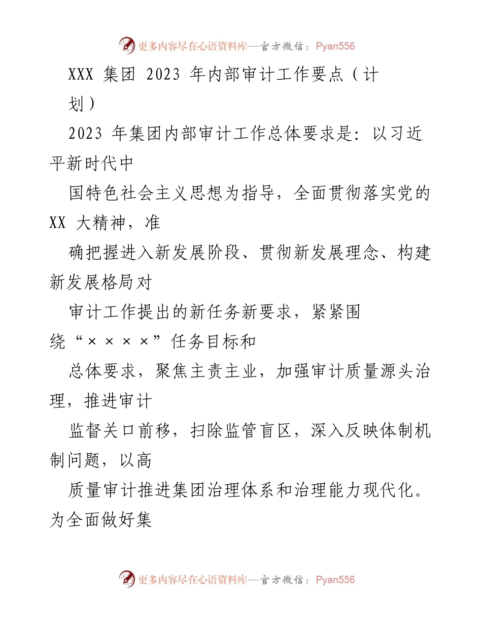 [工作总结] 2023年集团内部审计 - 2023年内部审计工作要点与实施计划.docx_第1页
