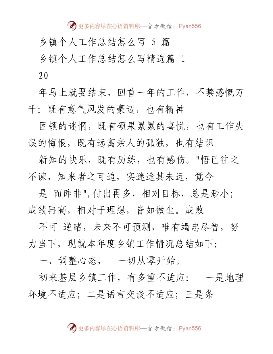 [工作总结] 乡镇工作 - 个人工作总结的反思与提升.docx_第1页