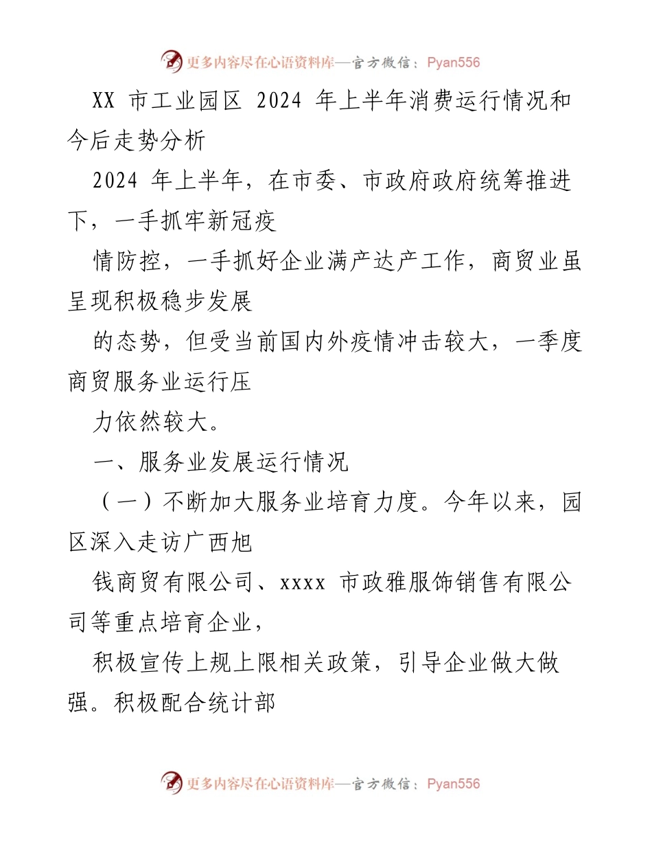 [工作总结] XX市工业园区 - 2024年上半年消费运行情况与服务业发展分析.docx_第1页