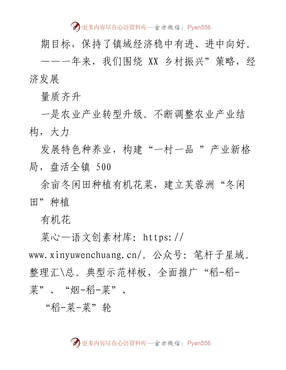[工作总结] 乡镇 - XXX 镇 2022 年工作总结与 2023 年工作计划.docx_第2页