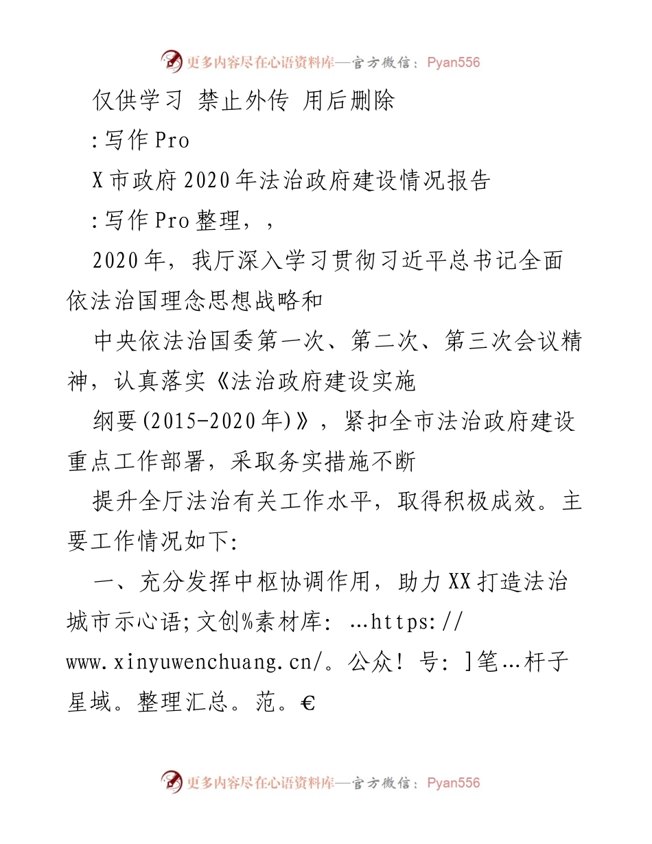 [工作总结] X市政府 - 2020年法治政府建设情况总结报告.docx_第1页
