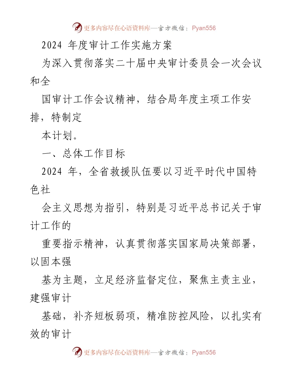 [工作总结] 2024年度审计工作 - 2024年度审计工作实施方案.docx_第1页
