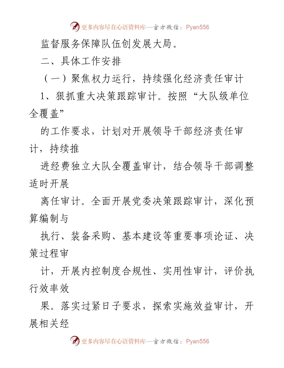 [工作总结] 2024年度审计工作 - 2024年度审计工作实施方案.docx_第2页