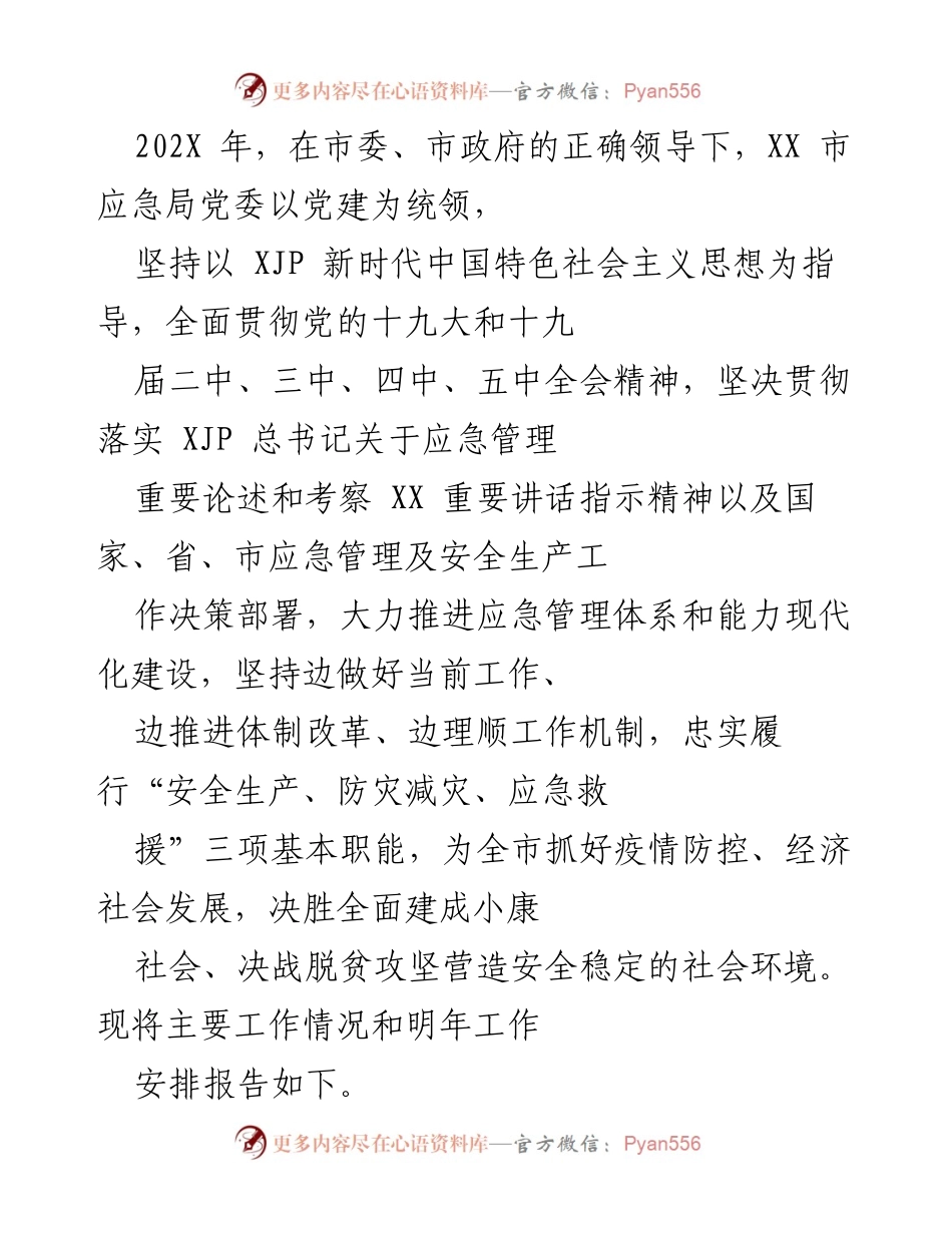 [工作总结] XX市应急局 - 202X年应急管理工作总结与明年工作安排报告.docx_第1页