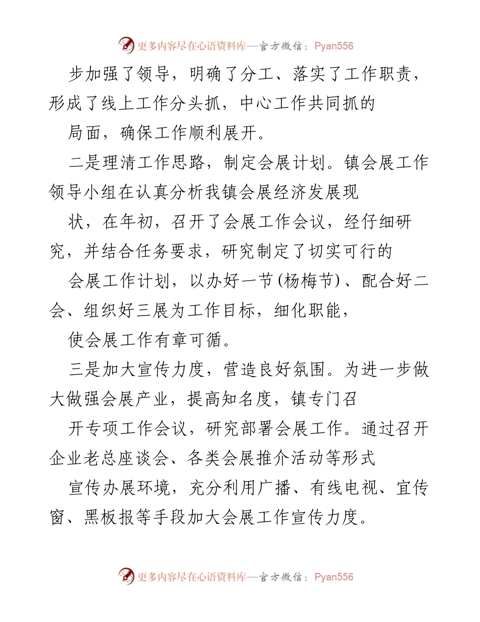 [工作总结] 乡镇工作 - 乡镇会展工作总结与未来规划.docx_第2页