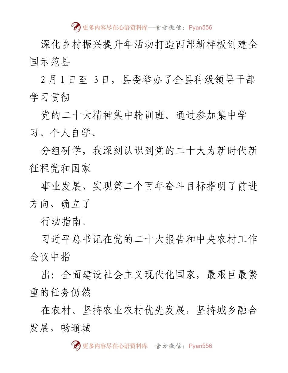 [工作总结] 乡村振兴活动 - 深化乡村振兴提升年活动，打造西部新样板.docx_第1页