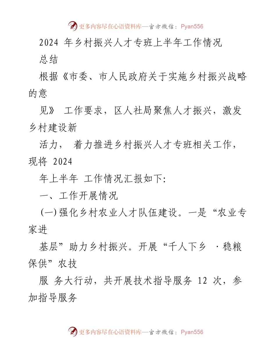 [工作总结] 乡村振兴人才专班 - 2024年上半年乡村振兴人才专班工作总结报告_1.docx_第1页