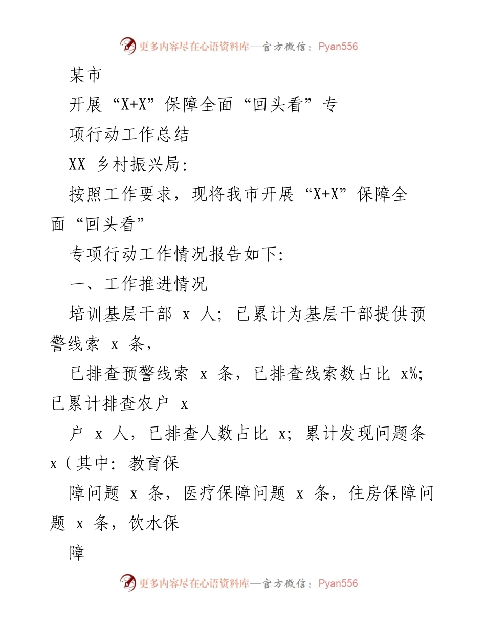 [工作总结] 专项行动 - 某市“X+X”保障全面“回头看”专项行动工作总结.docx_第1页