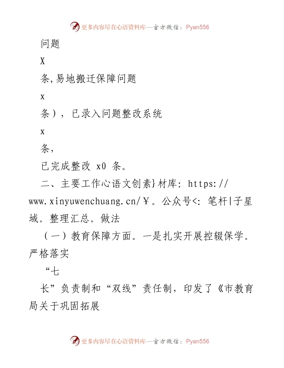 [工作总结] 专项行动 - 某市“X+X”保障全面“回头看”专项行动工作总结.docx_第2页