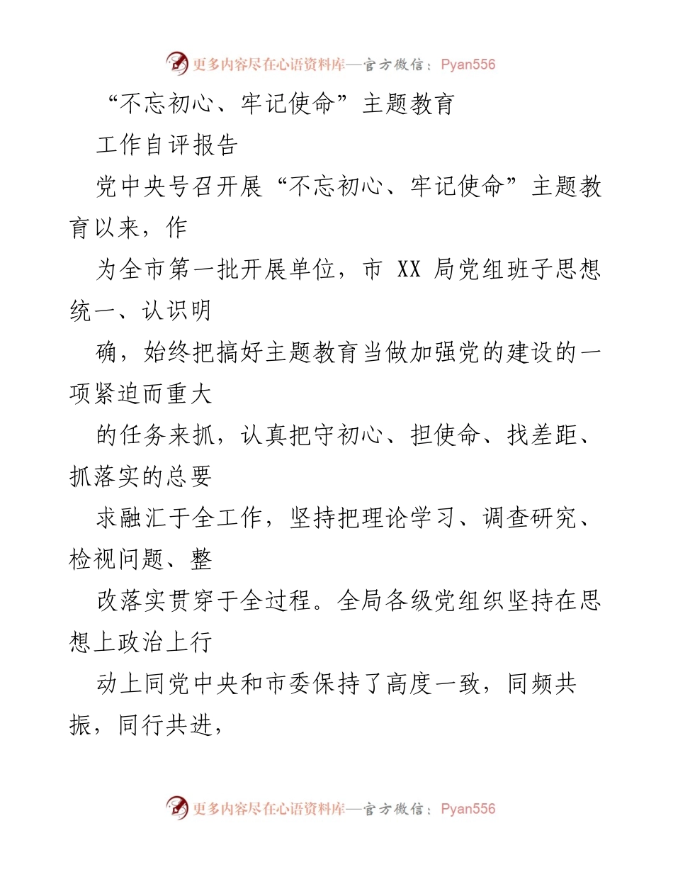 [工作总结] 主题教育 - 不忘初心、牢记使命主题教育工作自评报告.docx_第1页