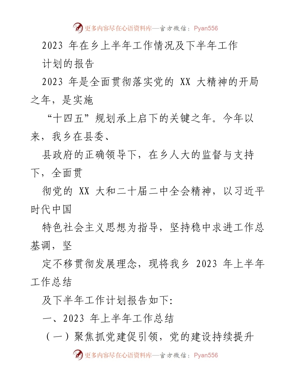 [工作总结] 乡镇工作会议 - 2023年上半年工作总结及下半年工作计划报告.docx_第1页